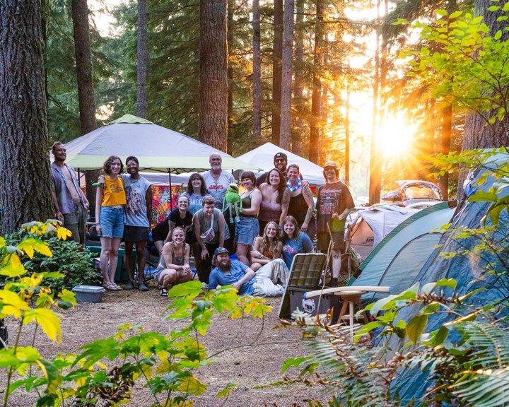 Festival campers gathered among evergreen trees in evening sunlight