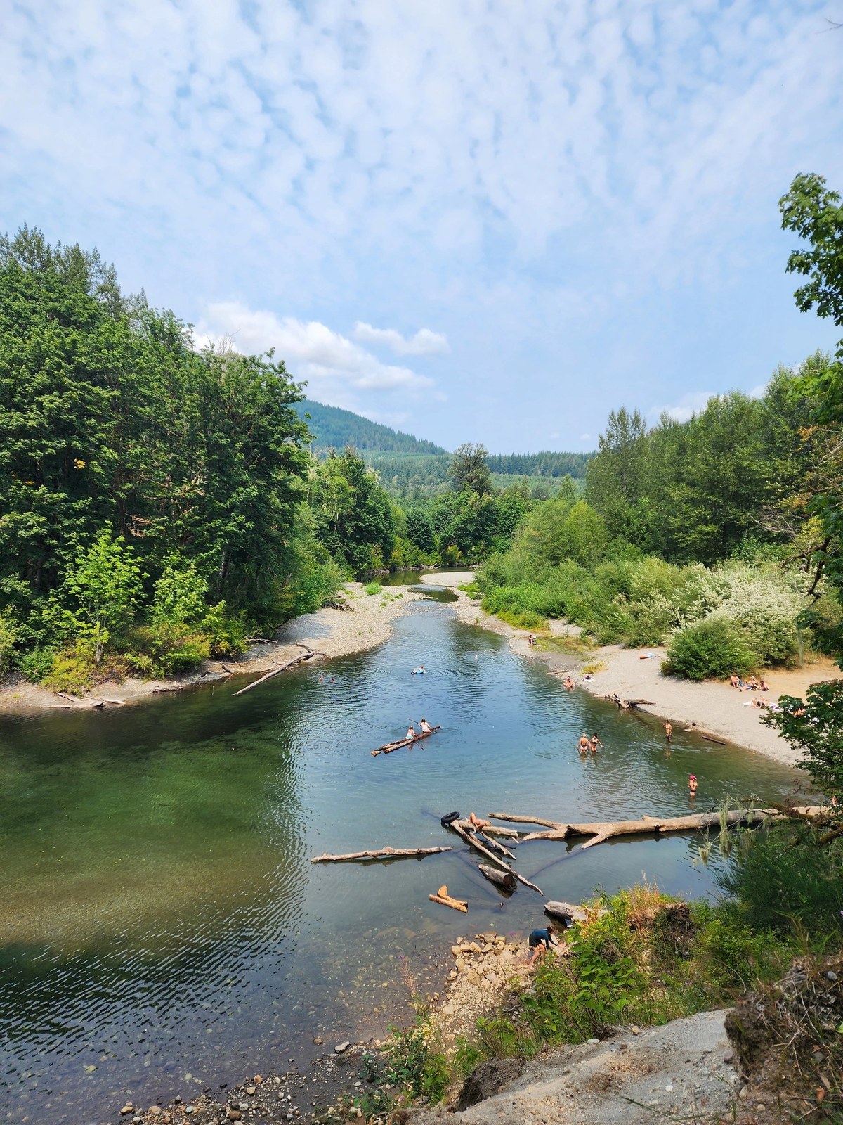 The Stillaguamish River winding through the forest near the festival grounds