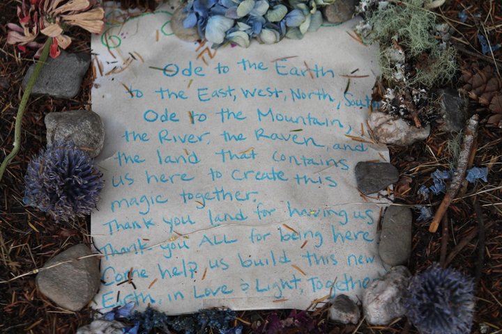 A handwritten sign resting among stones and plants